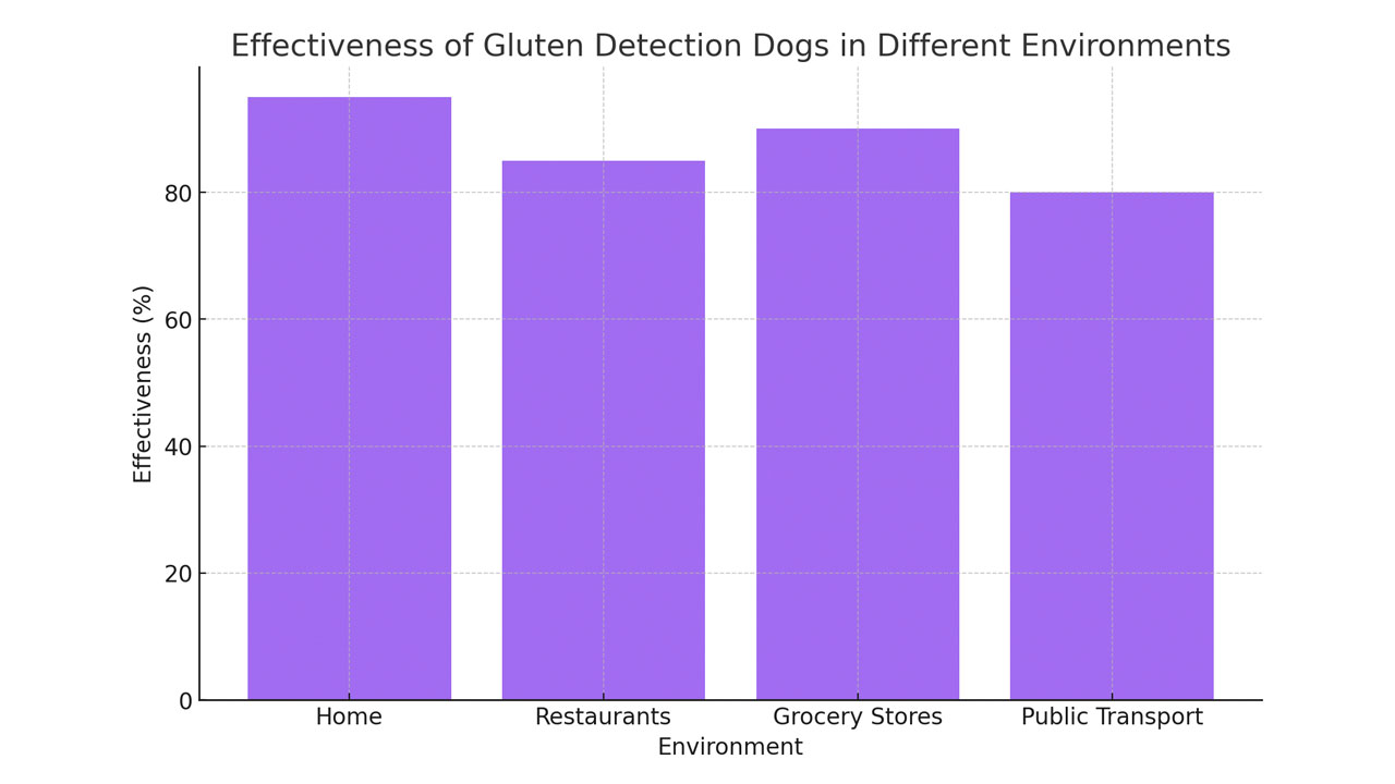 Bar chart illustrating the hypothetical effectiveness of gluten detection dogs in various environments, including homes, restaurants, grocery stores, and public transport, with color-coded bars indicating the percentage of effectiveness in each setting.