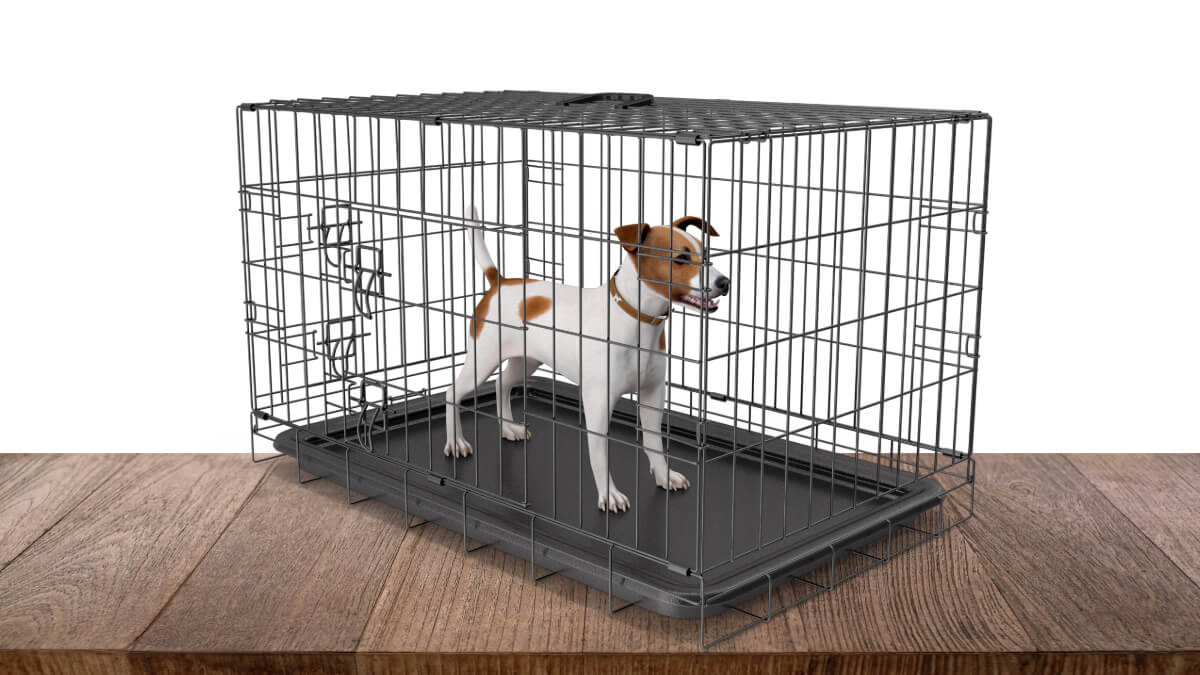 How To Stop A Dog Barking In Crate