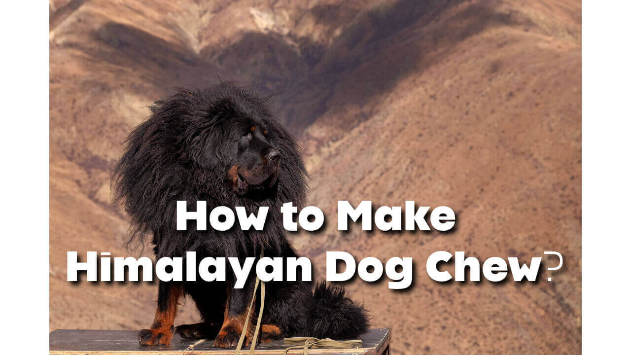 how to make himalayan dog chew